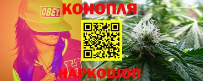 прущие грибы Иваново