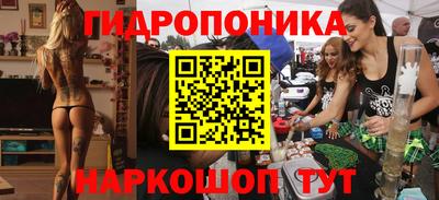 стаф Ижевск