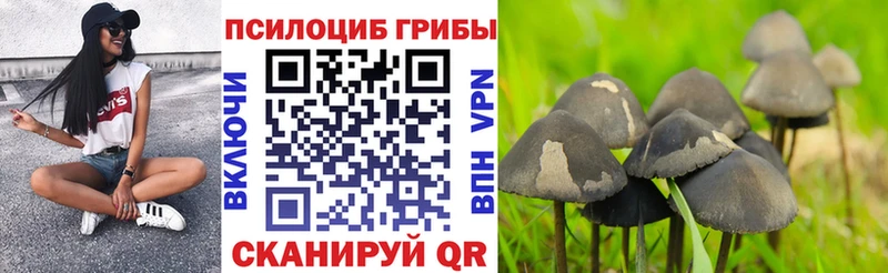 Псилоцибиновые грибы Magic Shrooms  где найти наркотики  Салават 