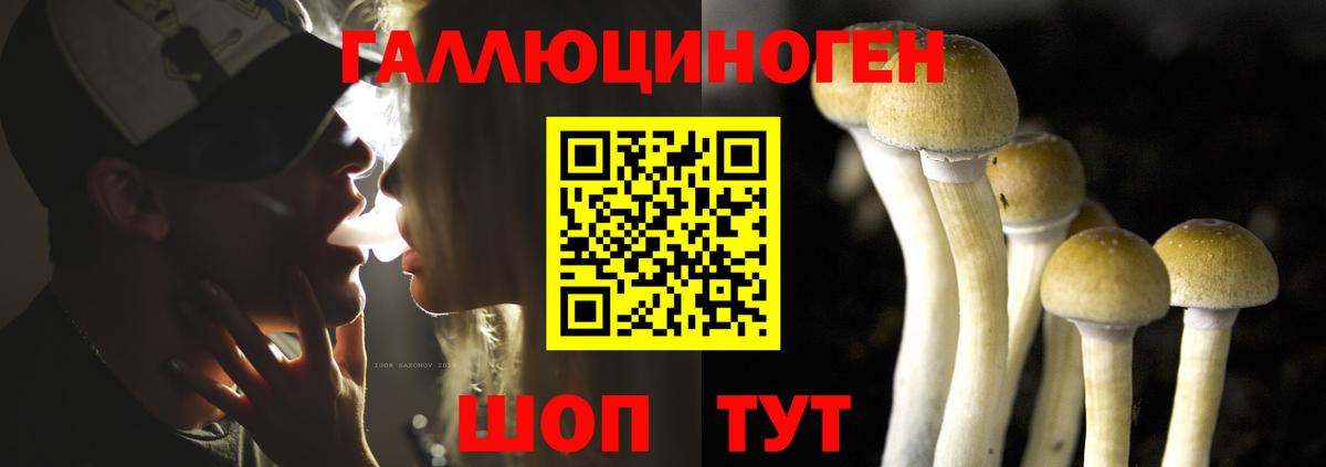 Галлюциногенные грибы Magic Shrooms Салават