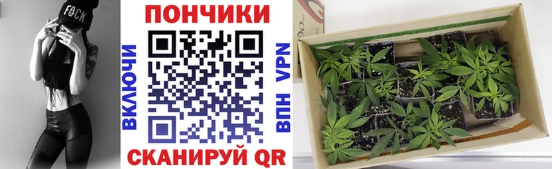 МАРИХУАНА планчик  наркотики  Салават 